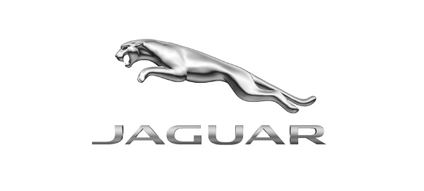 Jaguary